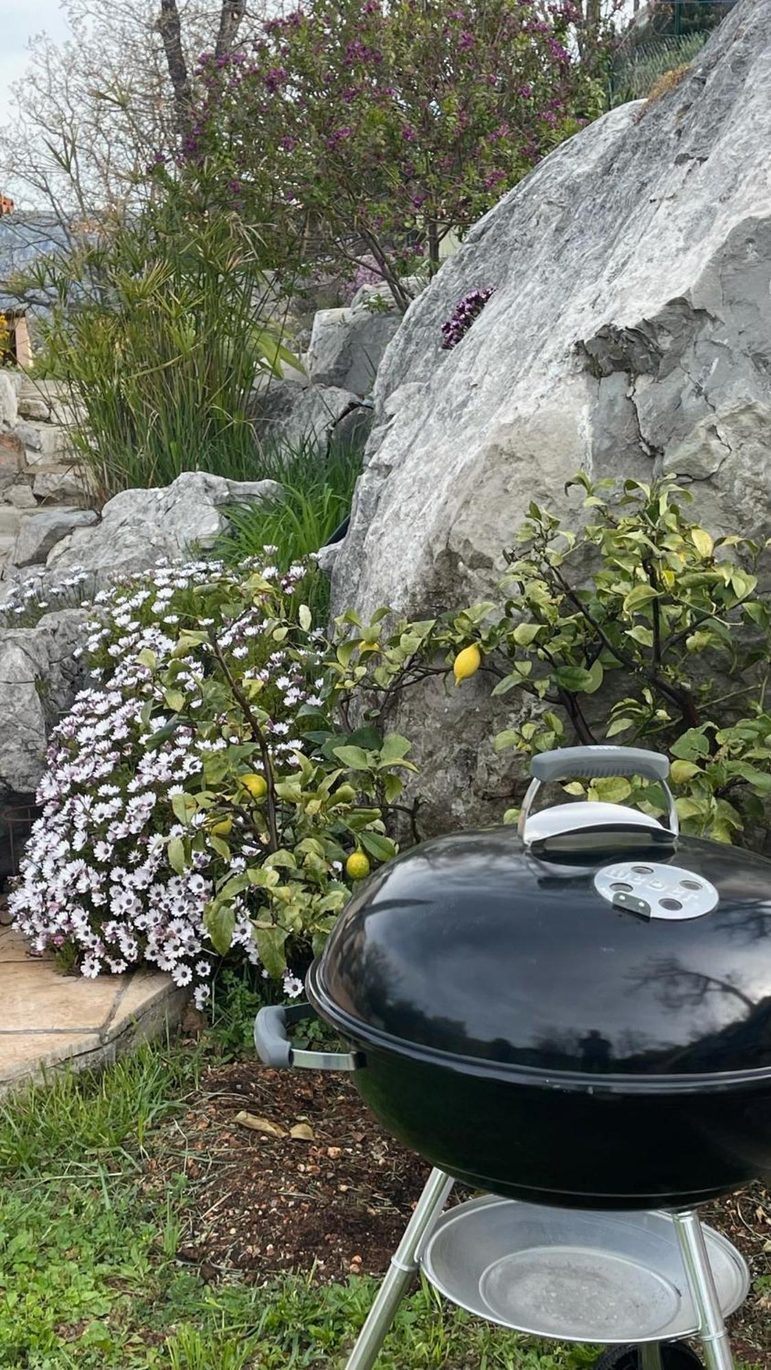Rez De Jardin, Entre Mer Et Montagne Levens Esterno foto