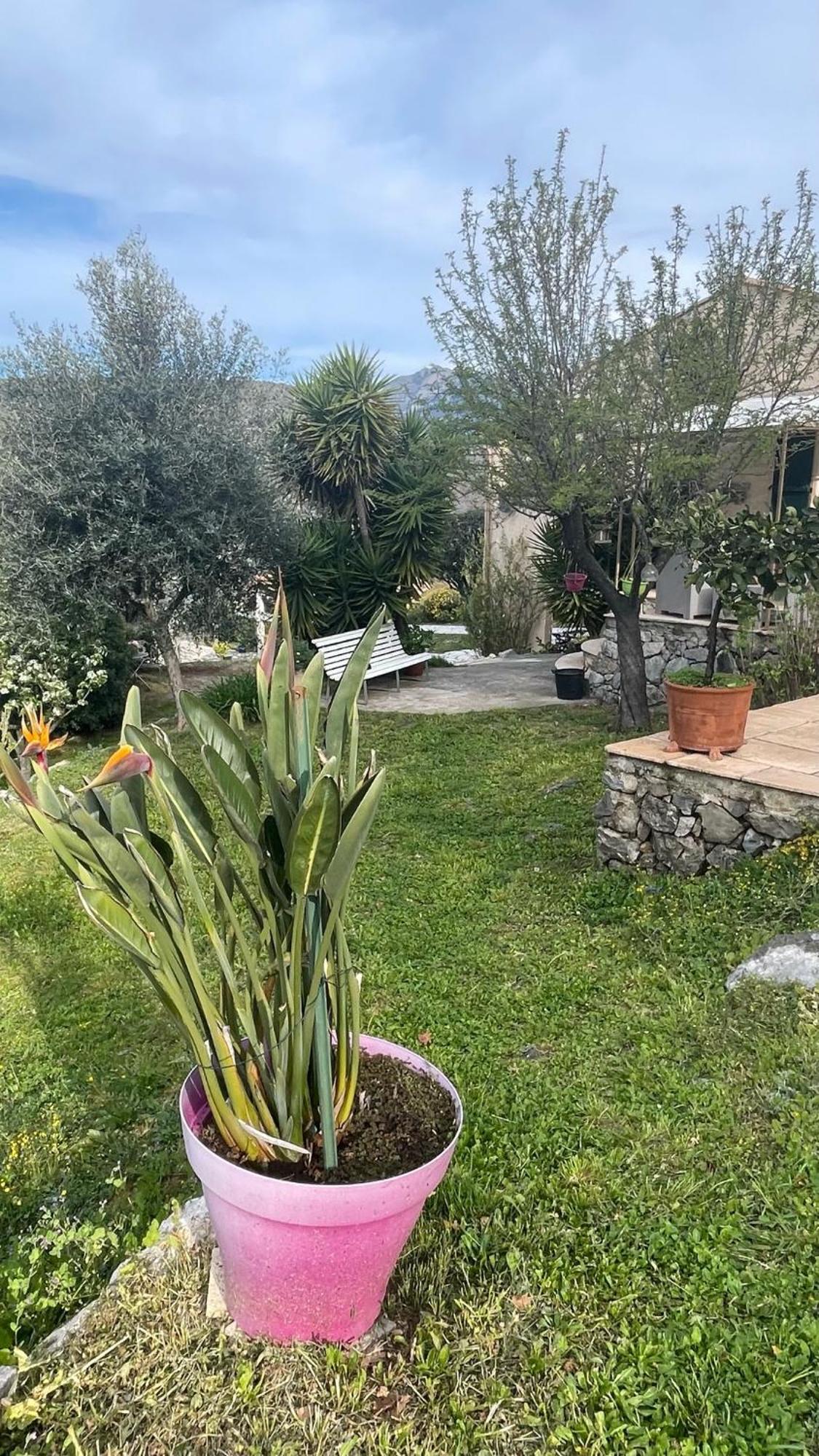 Rez De Jardin, Entre Mer Et Montagne Levens Esterno foto